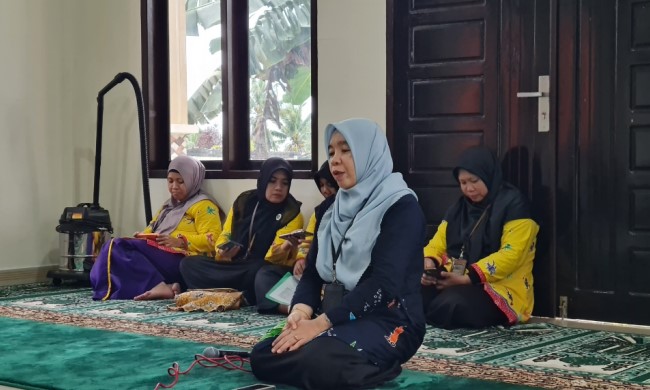 mizan1